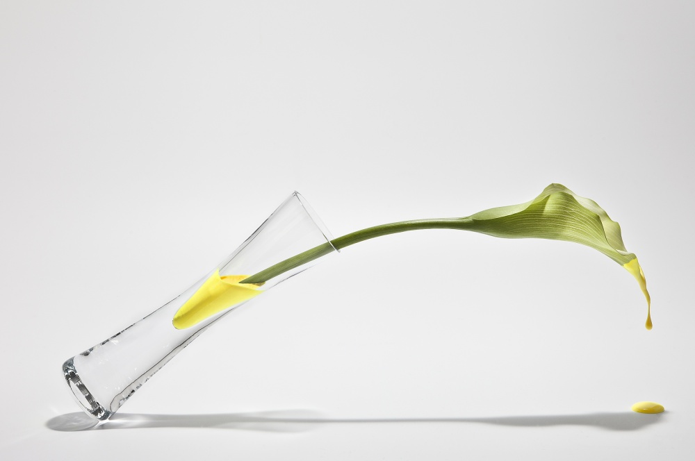 Calla Lily Drip by Christian Pabst — canvas wall art