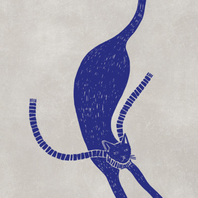 Elegant Blue Cat
