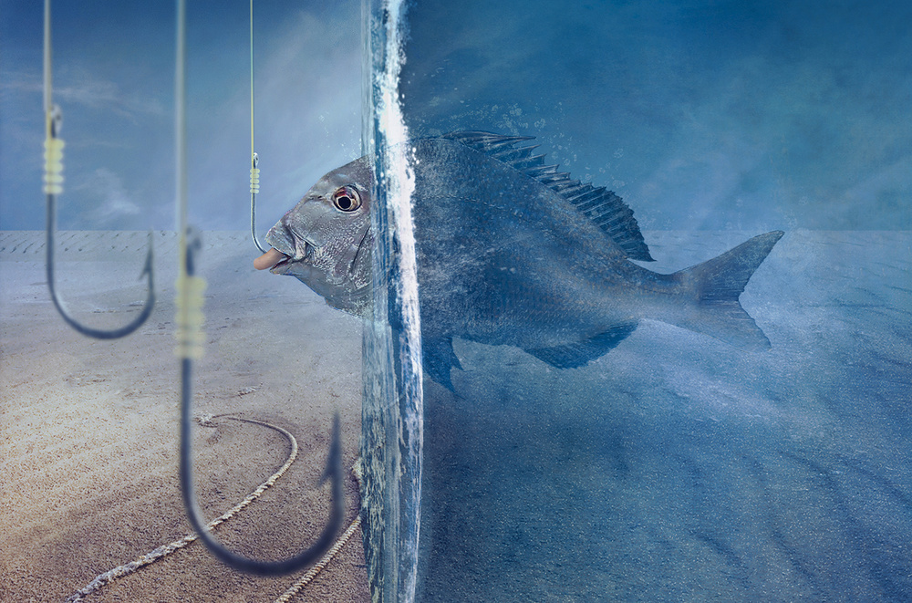 Fish Faces Temptation by Sulaiman Almawash — canvas wall art