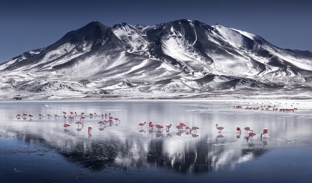 Altiplano by Karol Nienartowicz — canvas wall art