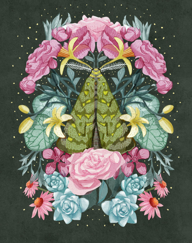 Night Pollinator by Katie O'Shea — canvas wall art