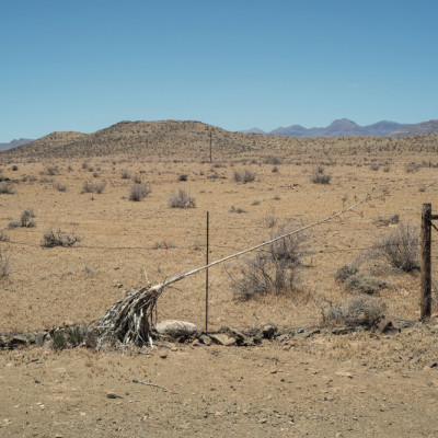 Desert Landscape With Distant Mountains