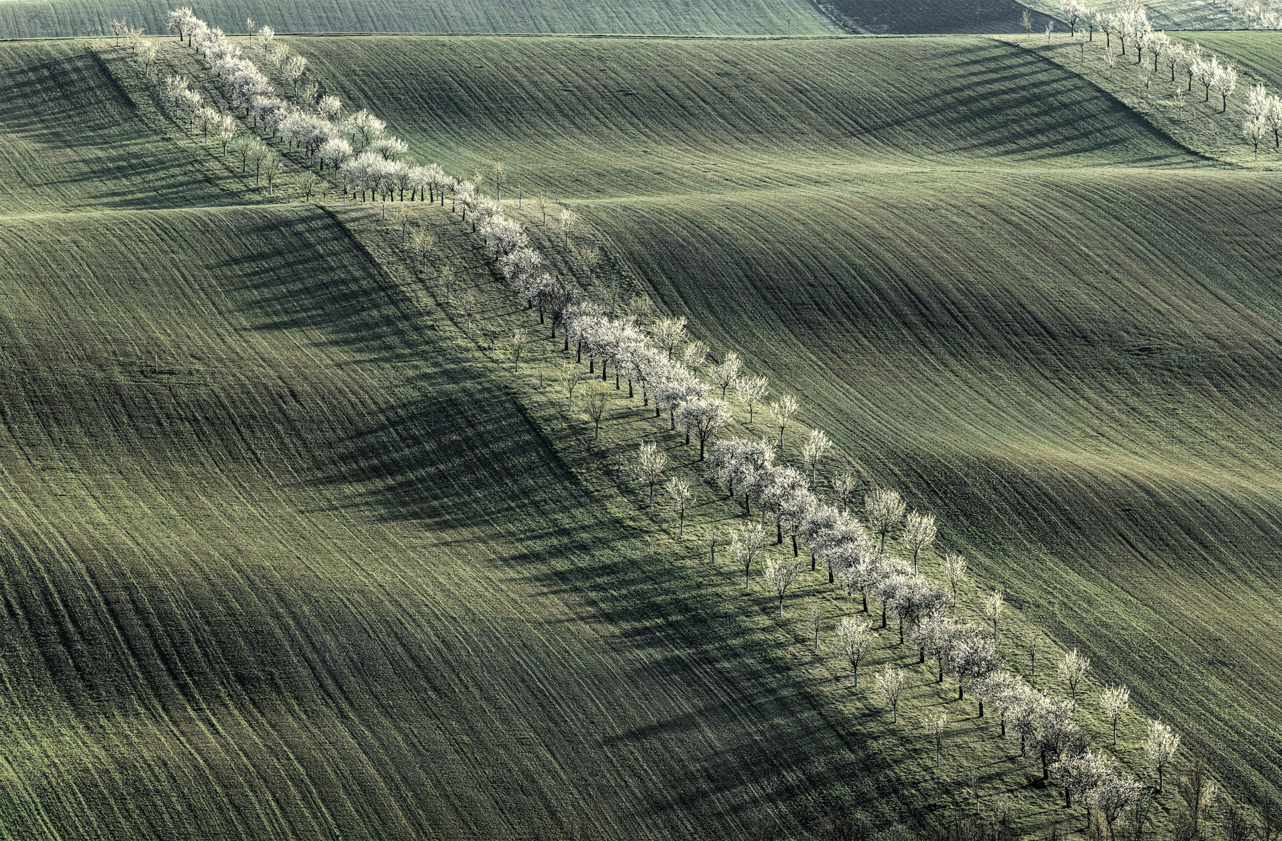 Spring By Andre Spring by Alexander