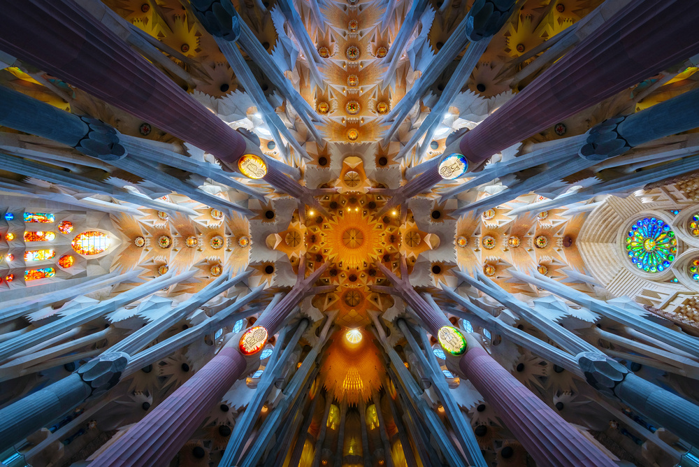 Vibrant Cathedral Ceiling by Juan Pablo de Miguel — canvas wall art