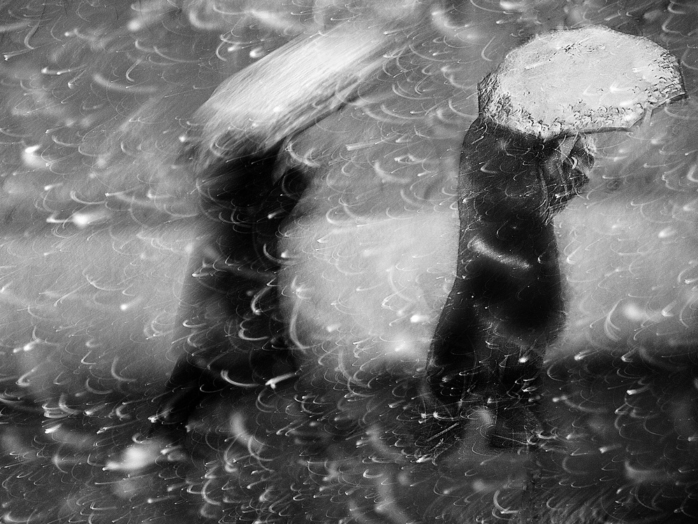 Rainy Street Motion by Nicoleta Gabor — canvas wall art