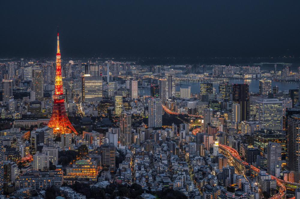 Tokyo City Night View by Rana Jabeen — canvas wall art