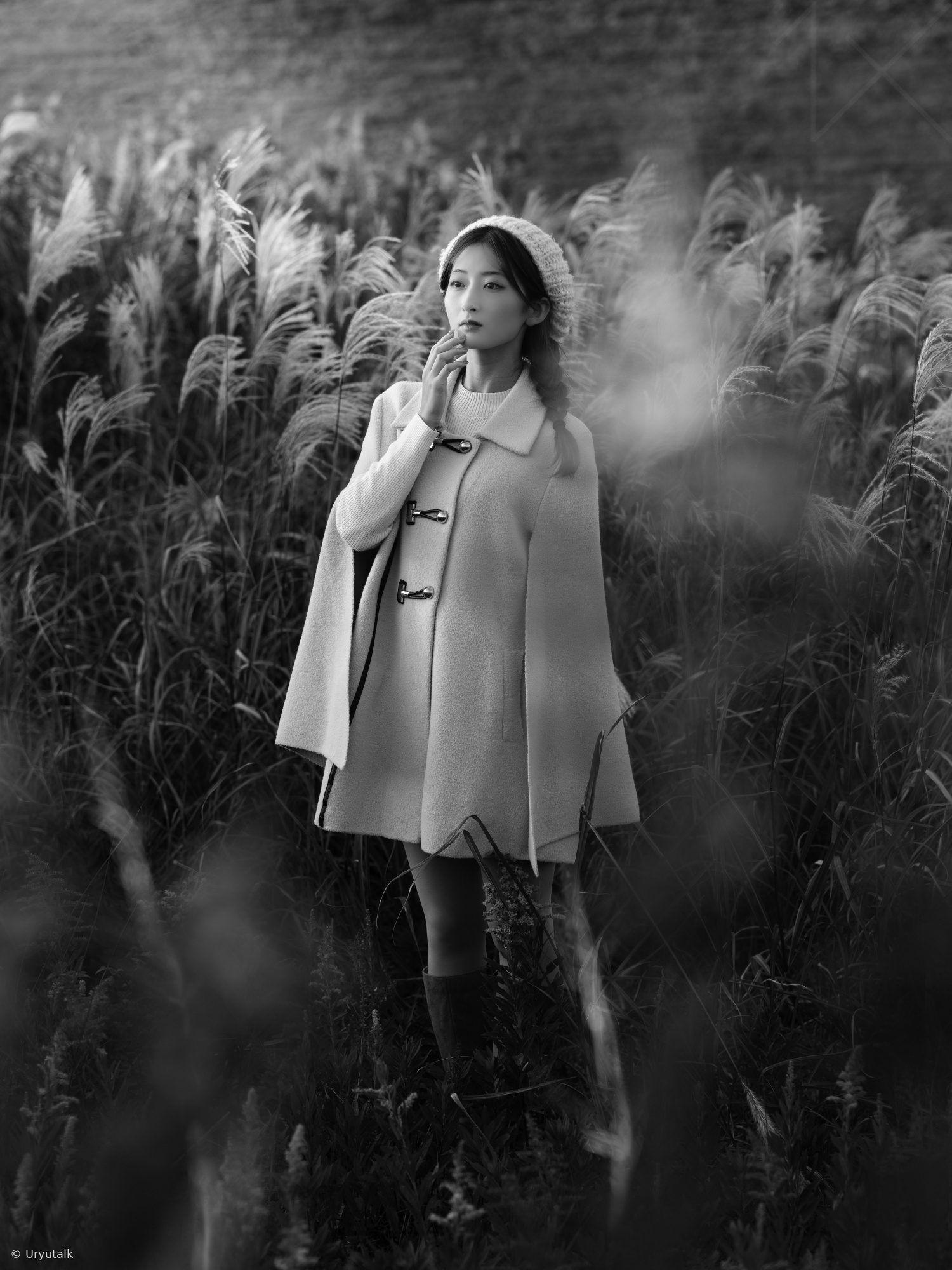 Thoughts in the Silver Field