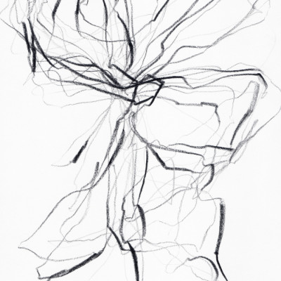 Flowing Abstract Lines