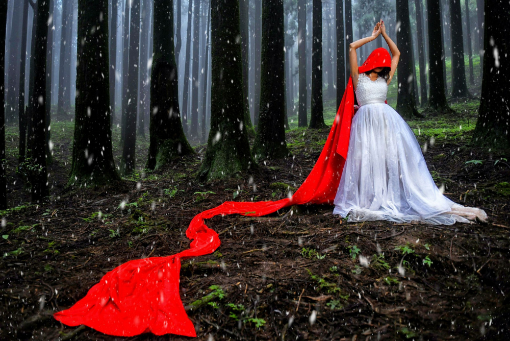 Fairytale Red Cloak by Avishek Das — canvas wall art