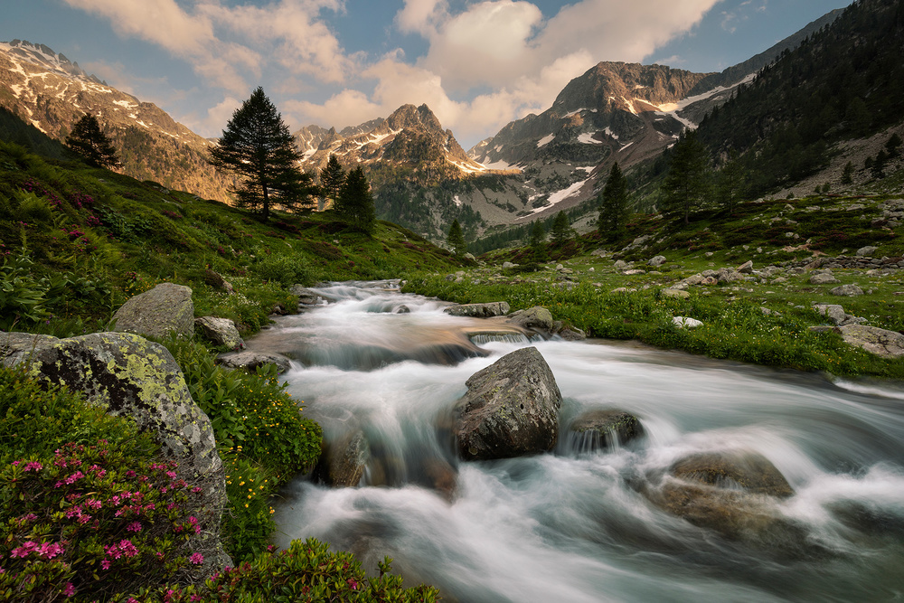 Alpine Stream Serenity by Paolo Bolla — canvas wall art