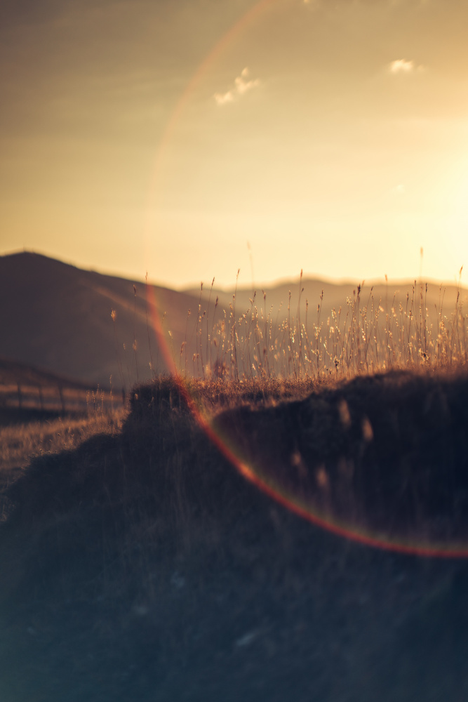 Golden Hour Mountains by Javier Pardina — canvas wall art