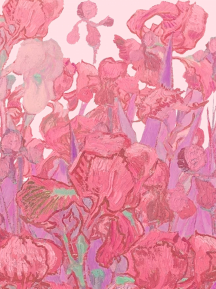 Vibrant Pink Irises by Mathieu jeuf — canvas wall art