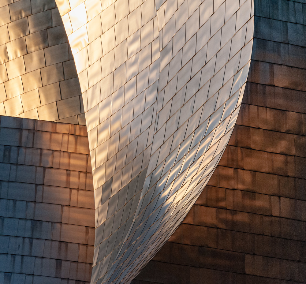 Metallic Architecture Curves by Ann Cornelis — canvas wall art