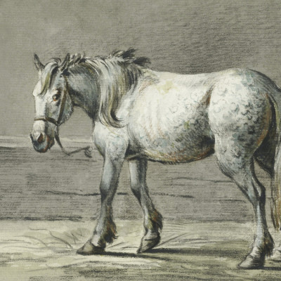 Standing Horse (1810   1816) By Jean Bernard