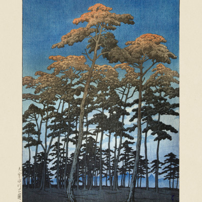 Hikawa Park In Omiya (1930) By Kawase Hasui and Watanabe Shozaburo