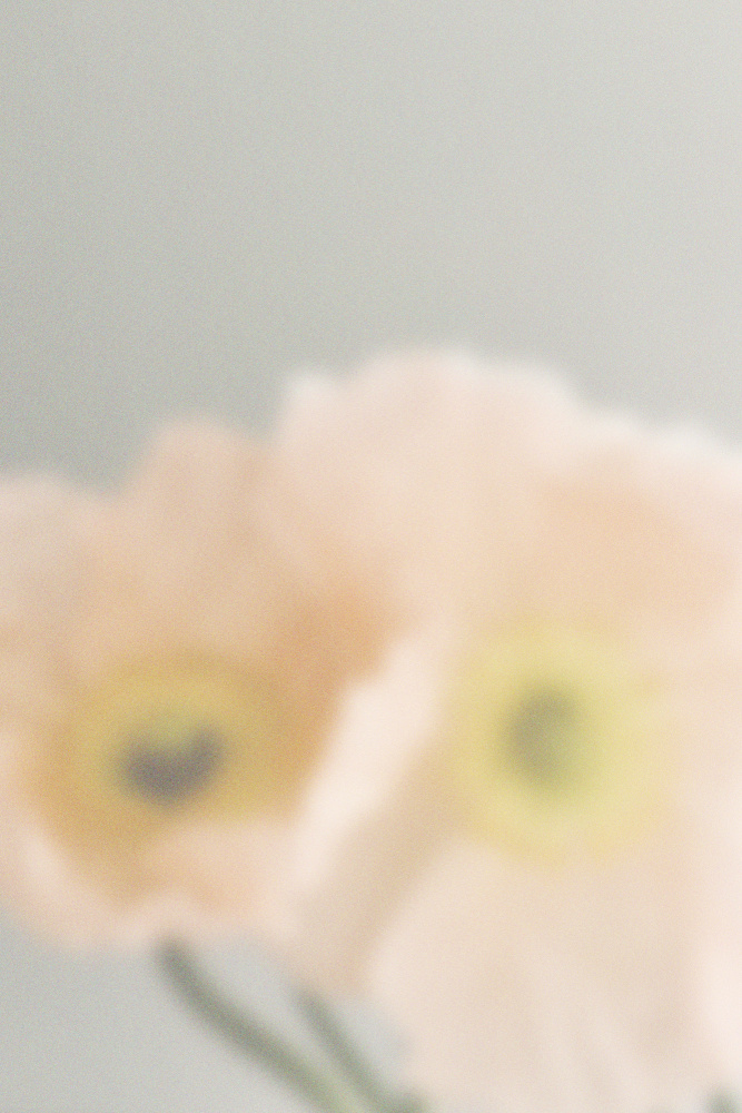 Soft Pastel Blooms by Frida Floral Studio — canvas wall art