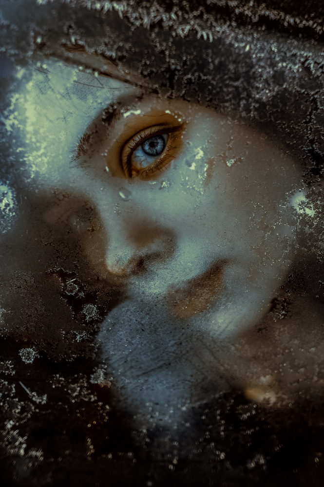 Mysterious Cold Gaze by Barbora Biňovcová — canvas wall art