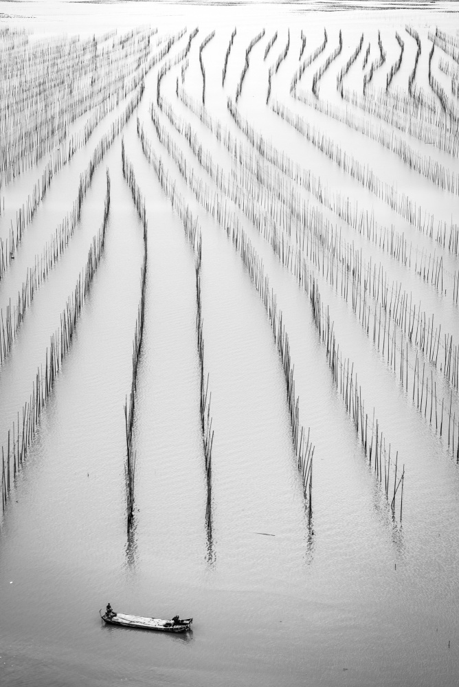 Water Farm Patterns by Zhaonian Zhou — canvas wall art