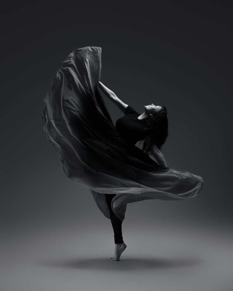 Graceful Fabric Dance by Rob Li — canvas wall art