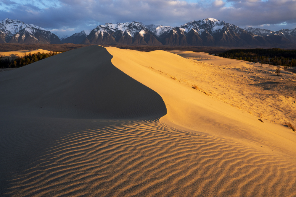 Golden Dunes Snowy Peaks by Alexey Kharitonov — canvas wall art