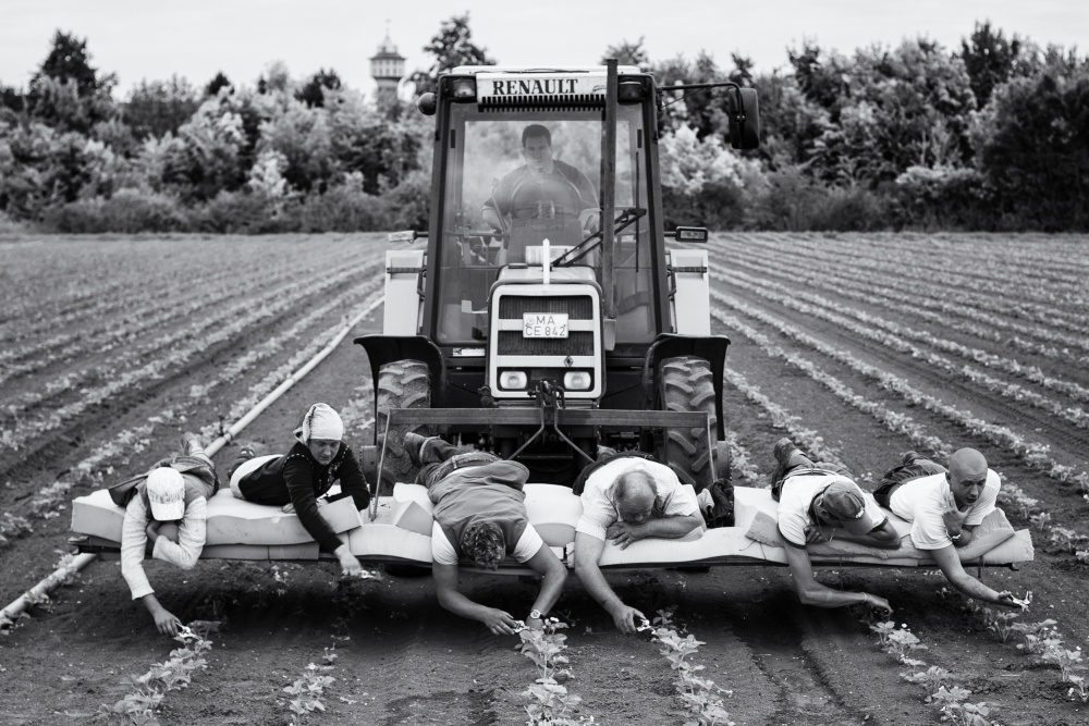 Tractor Field Work by Danna Sladjana — canvas wall art