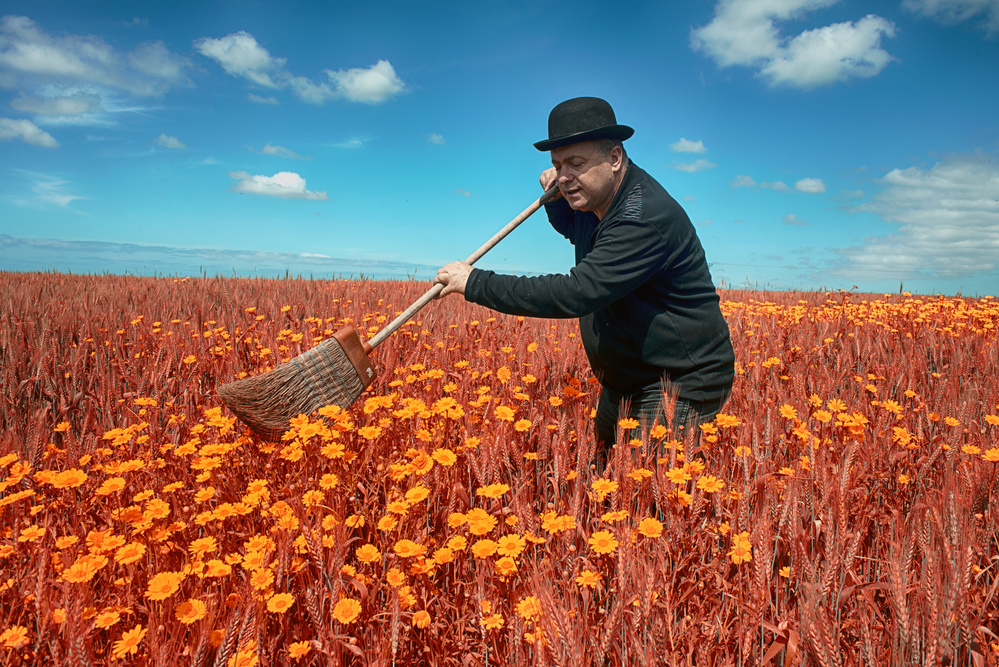Man Sweeping Flower Field by Miki Meir Levi — canvas wall art