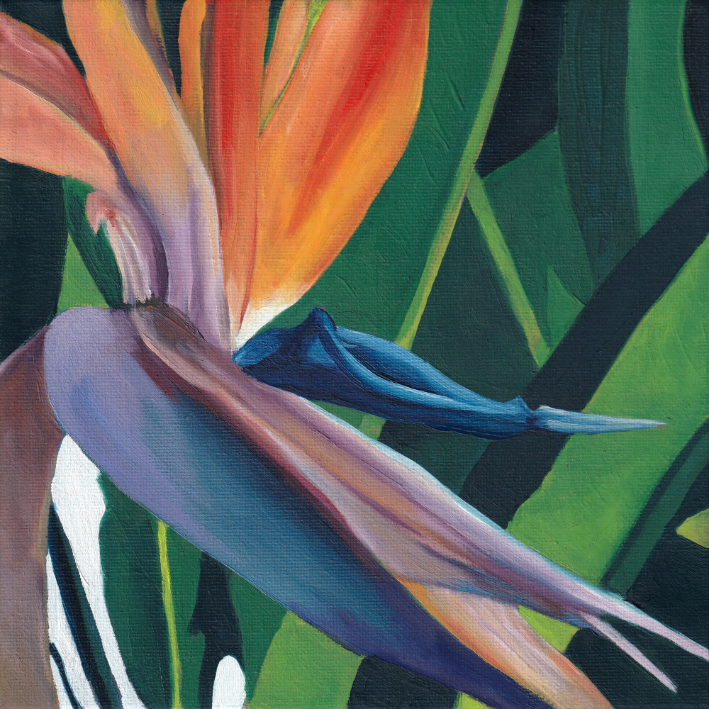 Vibrant Bird of Paradise by Viccy Wanliss — canvas wall art
