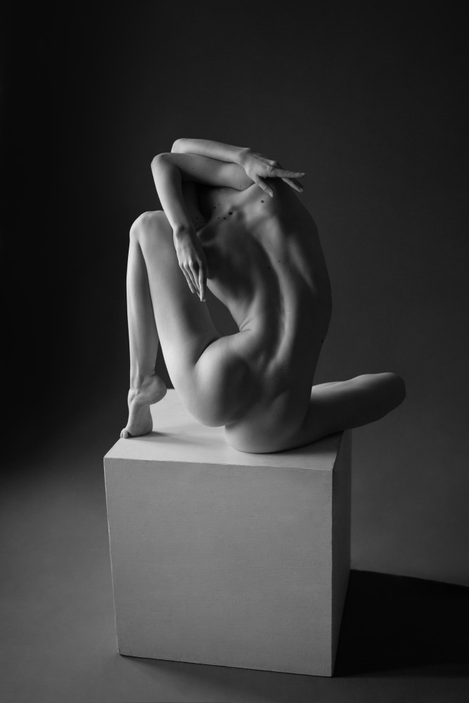 Graceful Nude Form by Natalya Sleta — canvas wall art