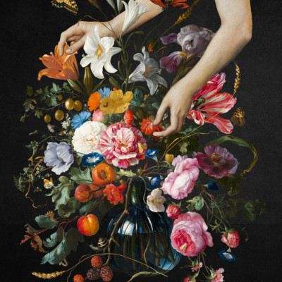 The Making of a Still Life