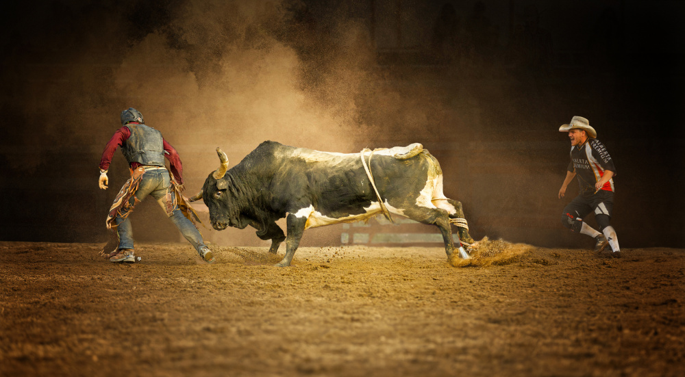 Rodeo Bull Action by Molly Fu APA — canvas wall art
