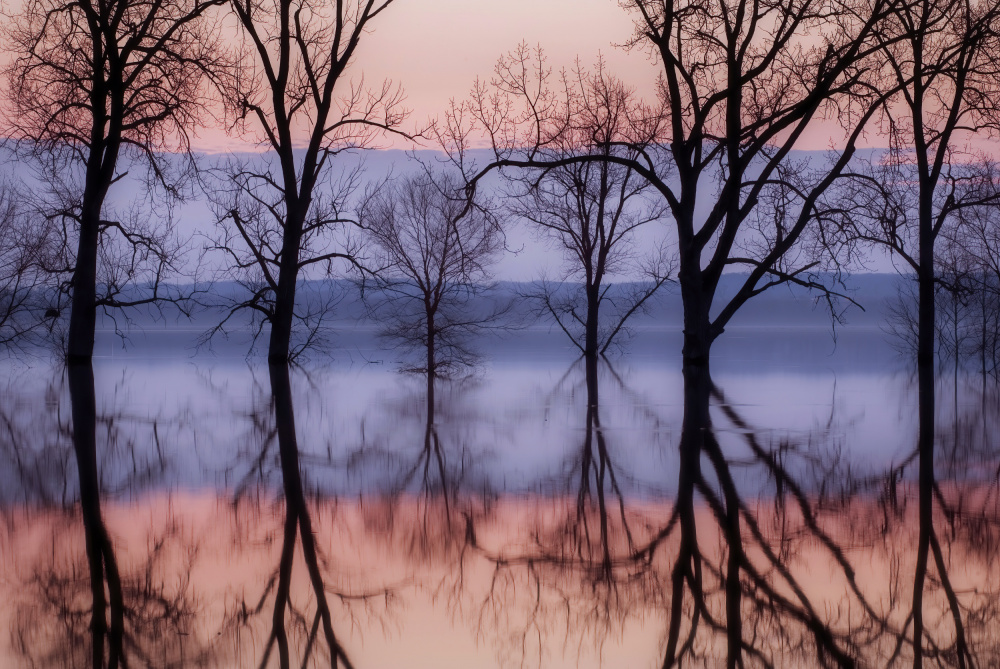 Tranquil Sunrise Reflections by Wei Liu — canvas wall art