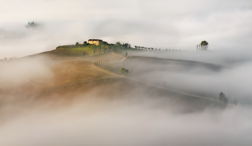Misty Tuscan Morning by Izidor Gasperlin — canvas wall art
