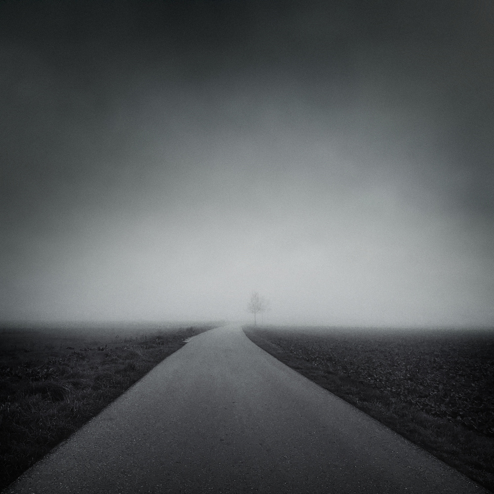 Road Into The Mist by Alexej Schulz — canvas wall art