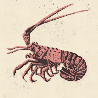 Under The Sea Lobster
