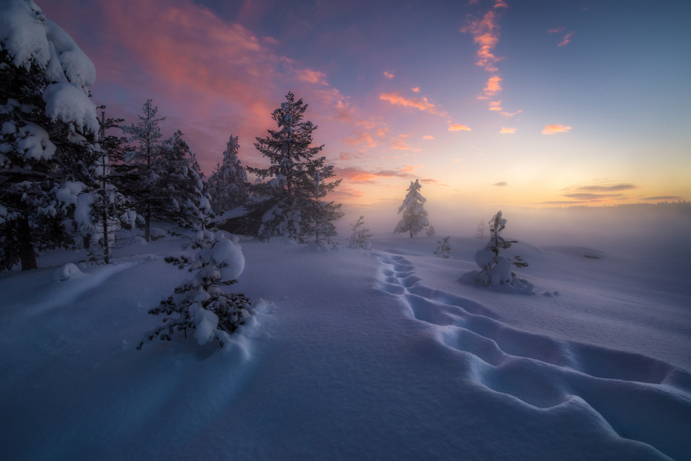 Winter Pink Sky Path by Ole Henrik Skjelstad — canvas wall art