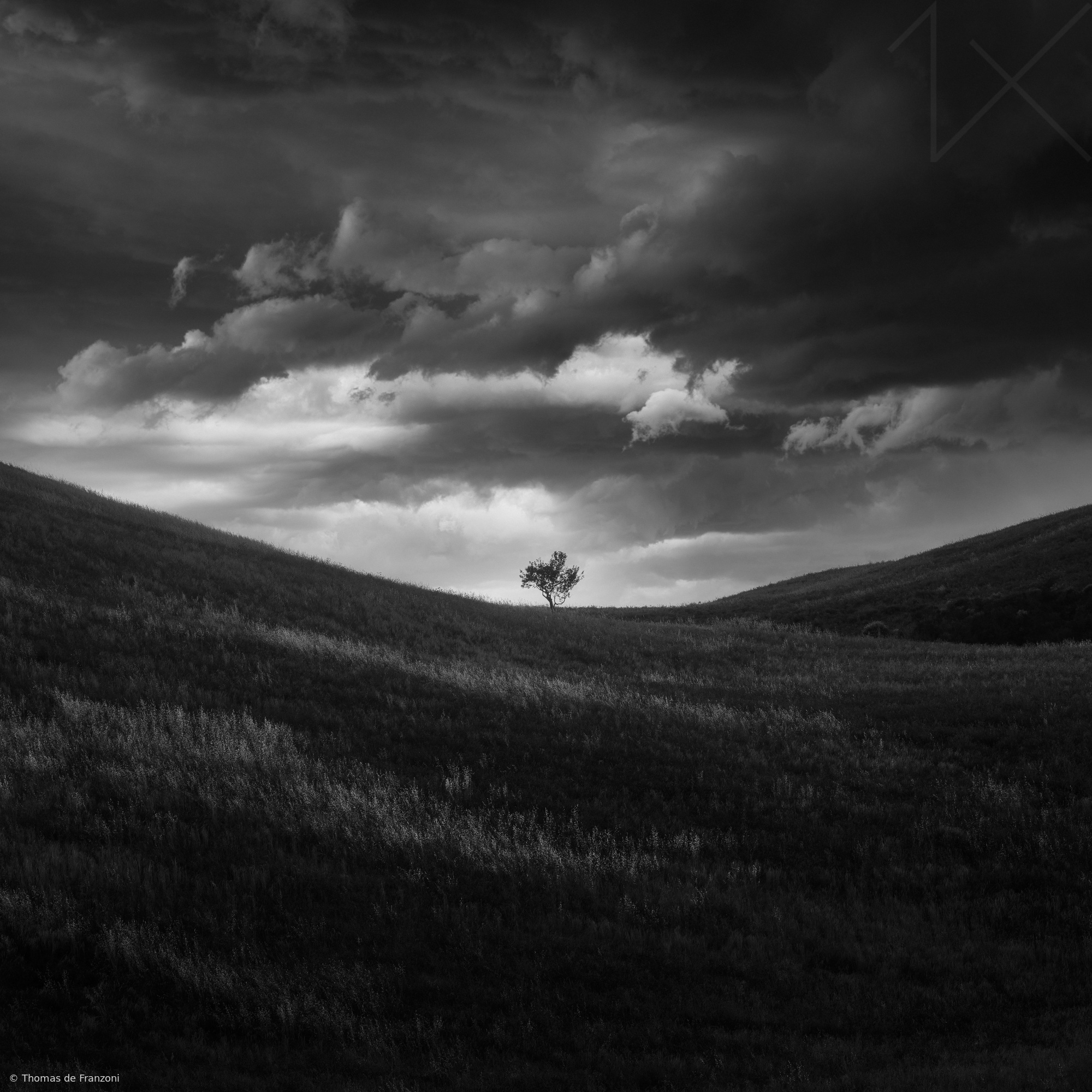 The Last Witness