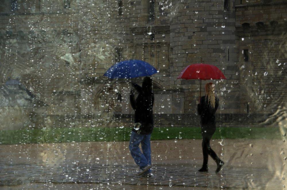 Rainy Day Umbrellas by Pierre Bacus — canvas wall art