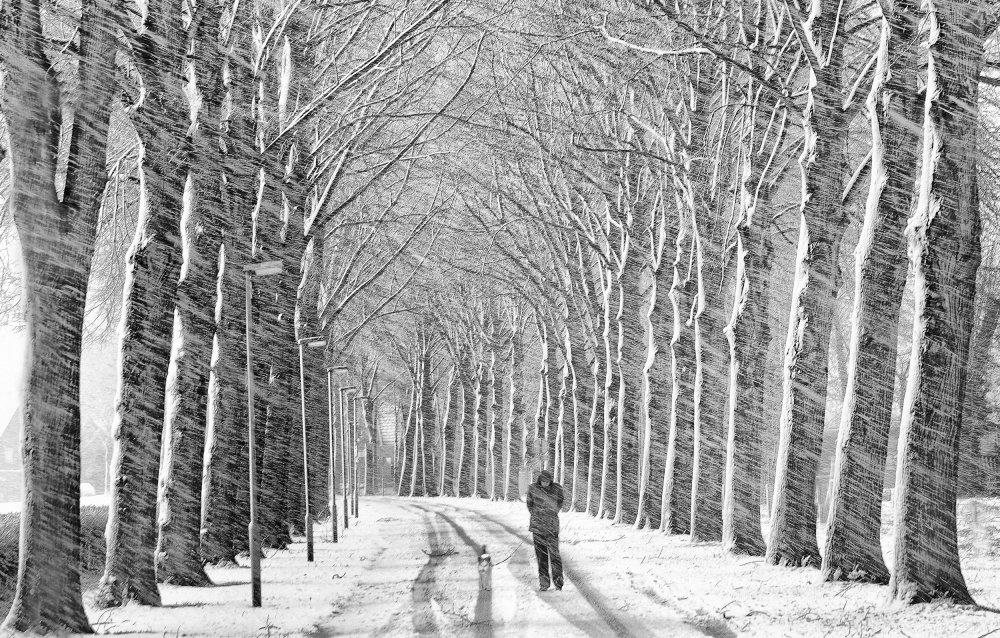 Snowy Avenue Walk by Lou Urlings — canvas wall art