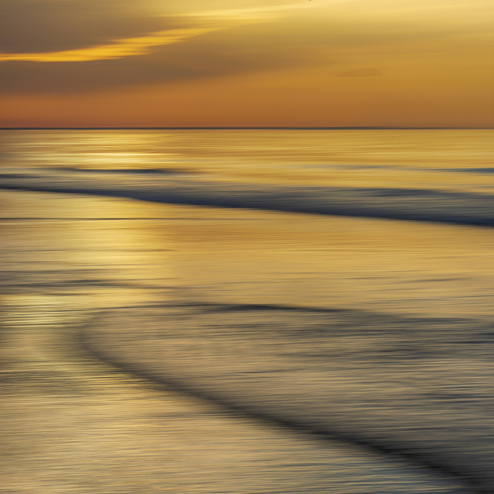 Golden Ocean Waves by Benjamine Hullot Scalvenzi — canvas wall art