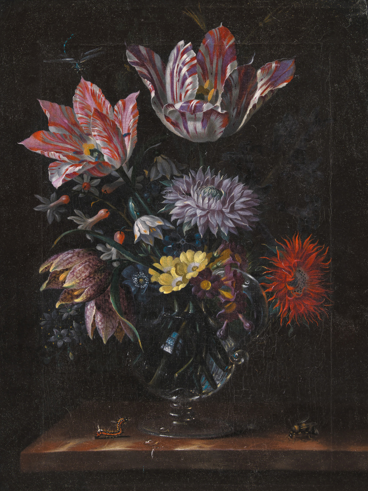 Unknown By Jacob Marrel by Old Artists — canvas wall art