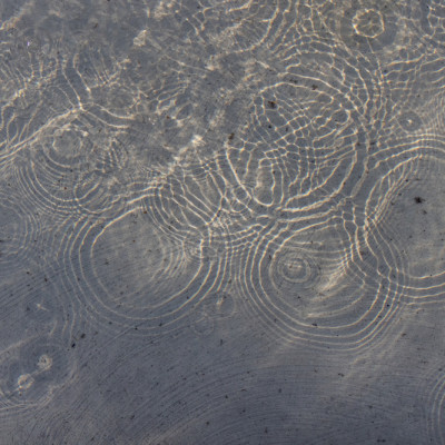 Sunlit Water Ripples