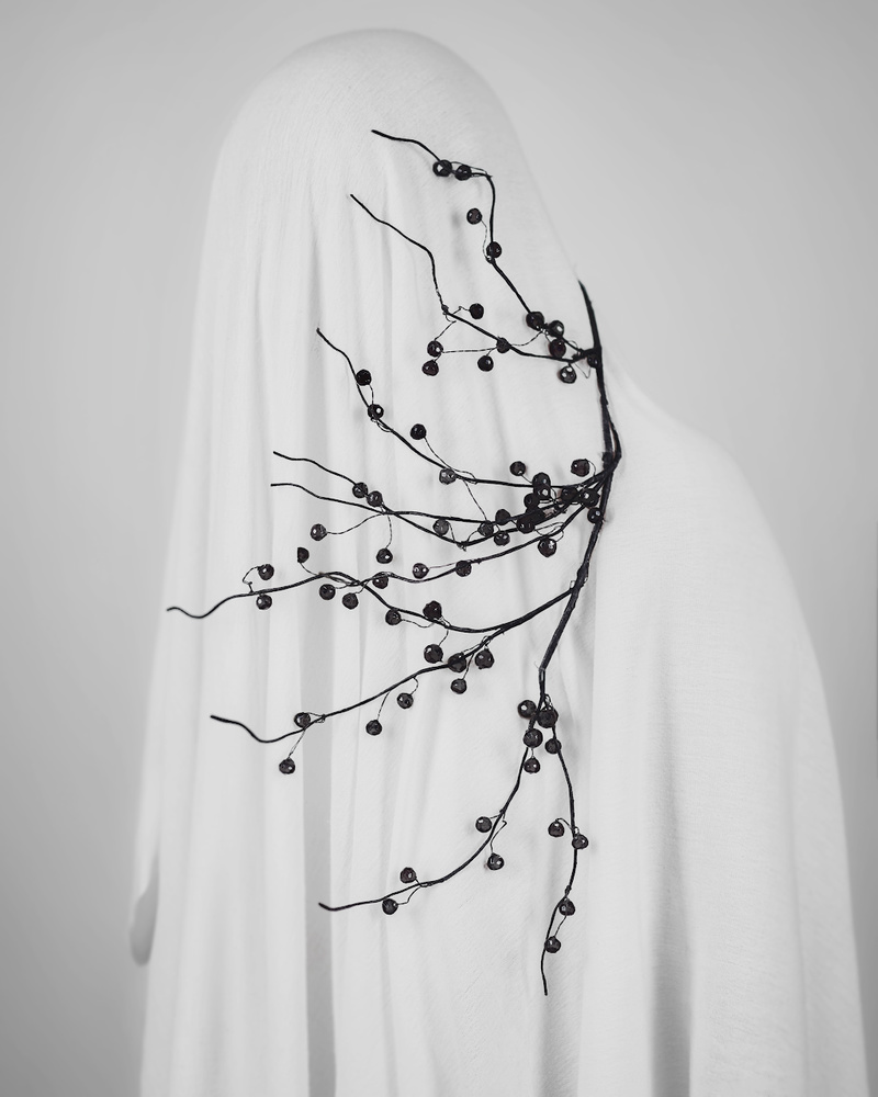 Enigmatic Veiled Branches by Yuri Shevchenko — canvas wall art