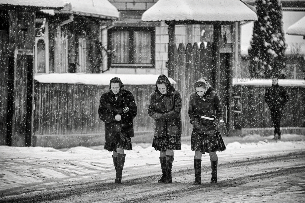 Traditional Winter Village Walk by mihai ian nedelcu — canvas wall art