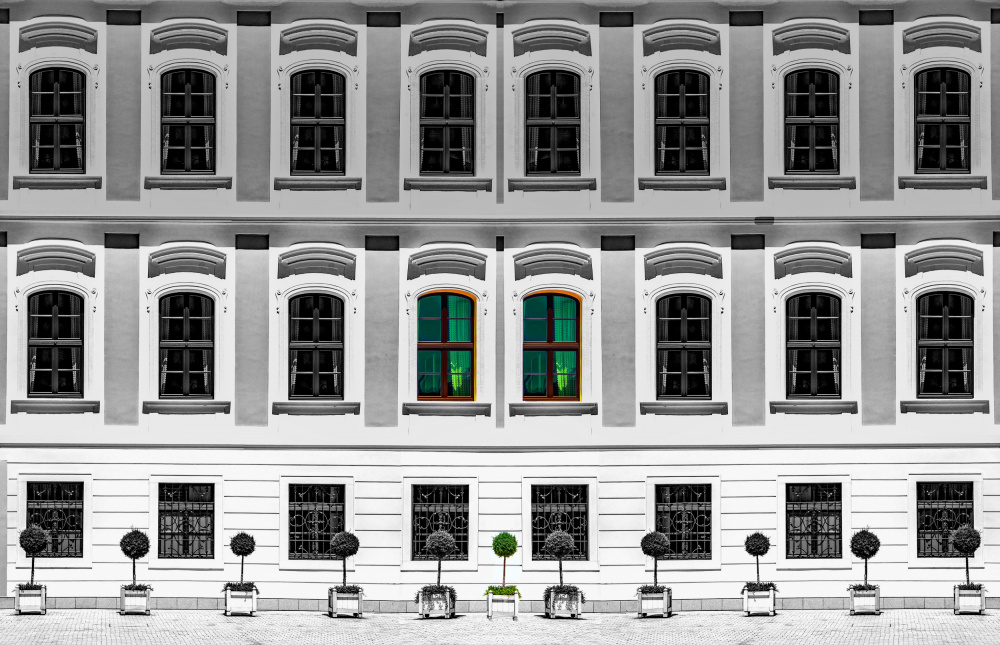 Elegant Green Windows by Miro Susta — canvas wall art