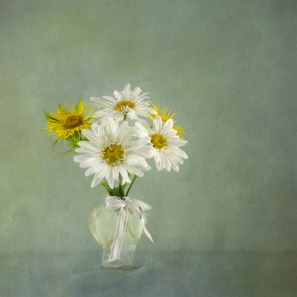 Fresh Daisy Bouquet by Gaille Gray — canvas wall art