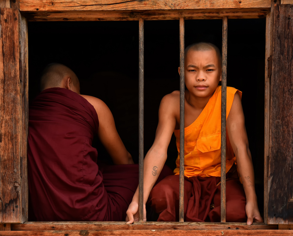 Curious Monk in Window by Lou Urlings — canvas wall art