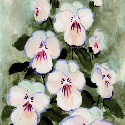 White Pansy Garden
