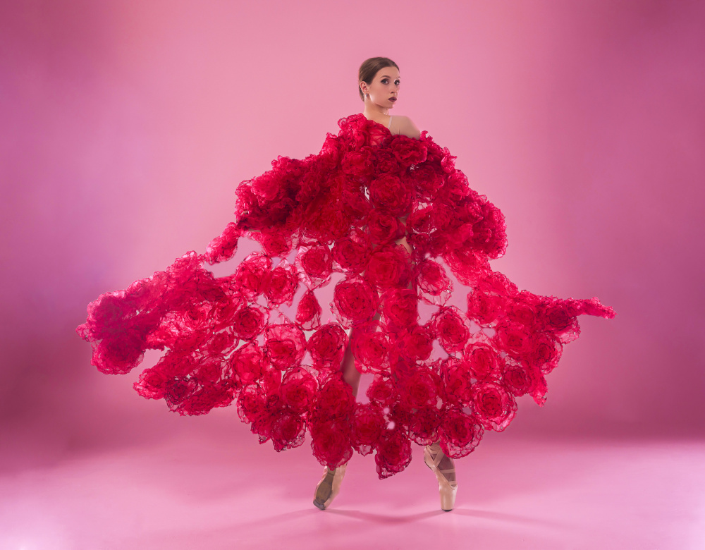 Red Rose Ballet by Alexandr — canvas wall art
