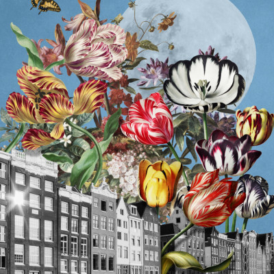 Vibrant Tulips And Intricate Butterflies