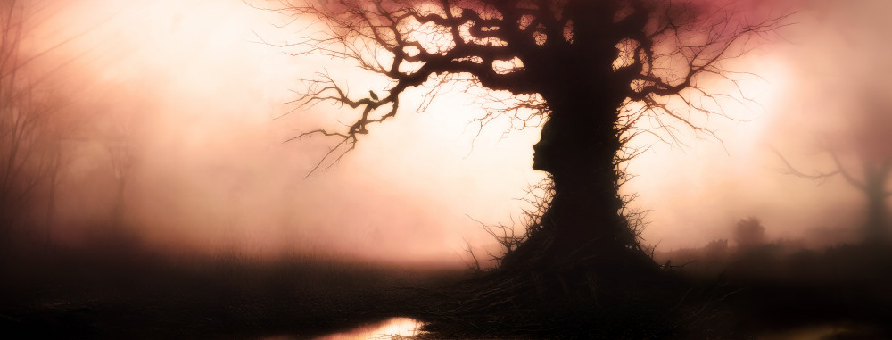 Misty Tree Face by Manu Allicot — canvas wall art